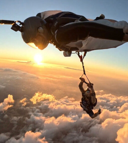 Wing Swing